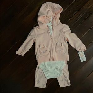 3 piece pink bunny jacket set
